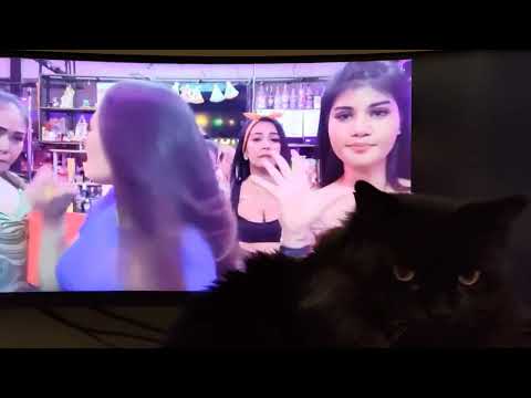 Egon enjoying S3xy bar live stream.